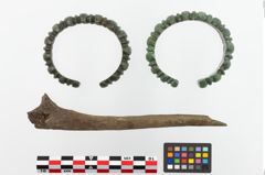 Foto von Bronzebuckelarmeif (NHMW-PRAE-023748)